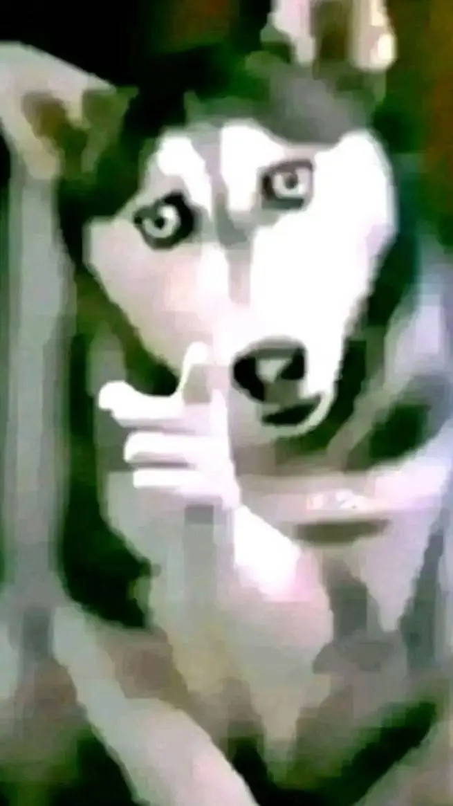 ai character:  cachorro falante? background