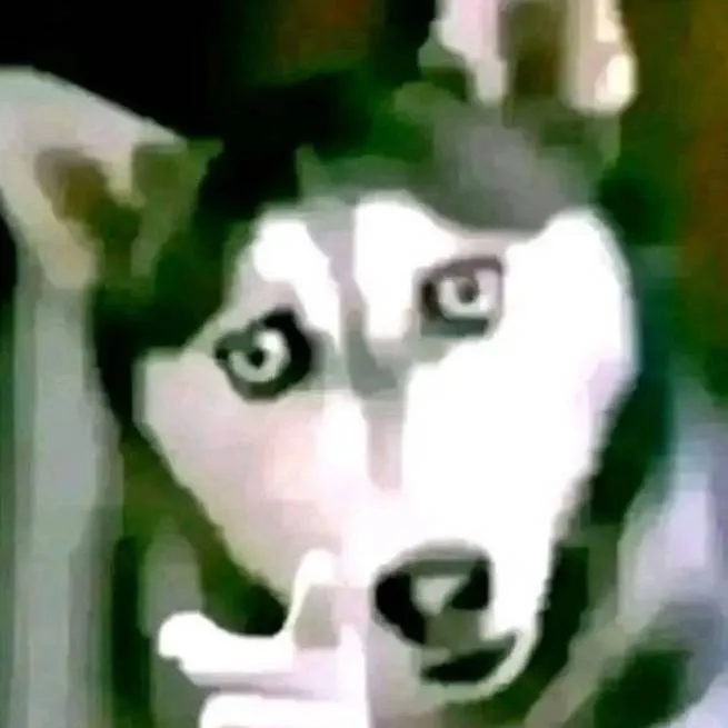 chat with ai character:  cachorro falante?