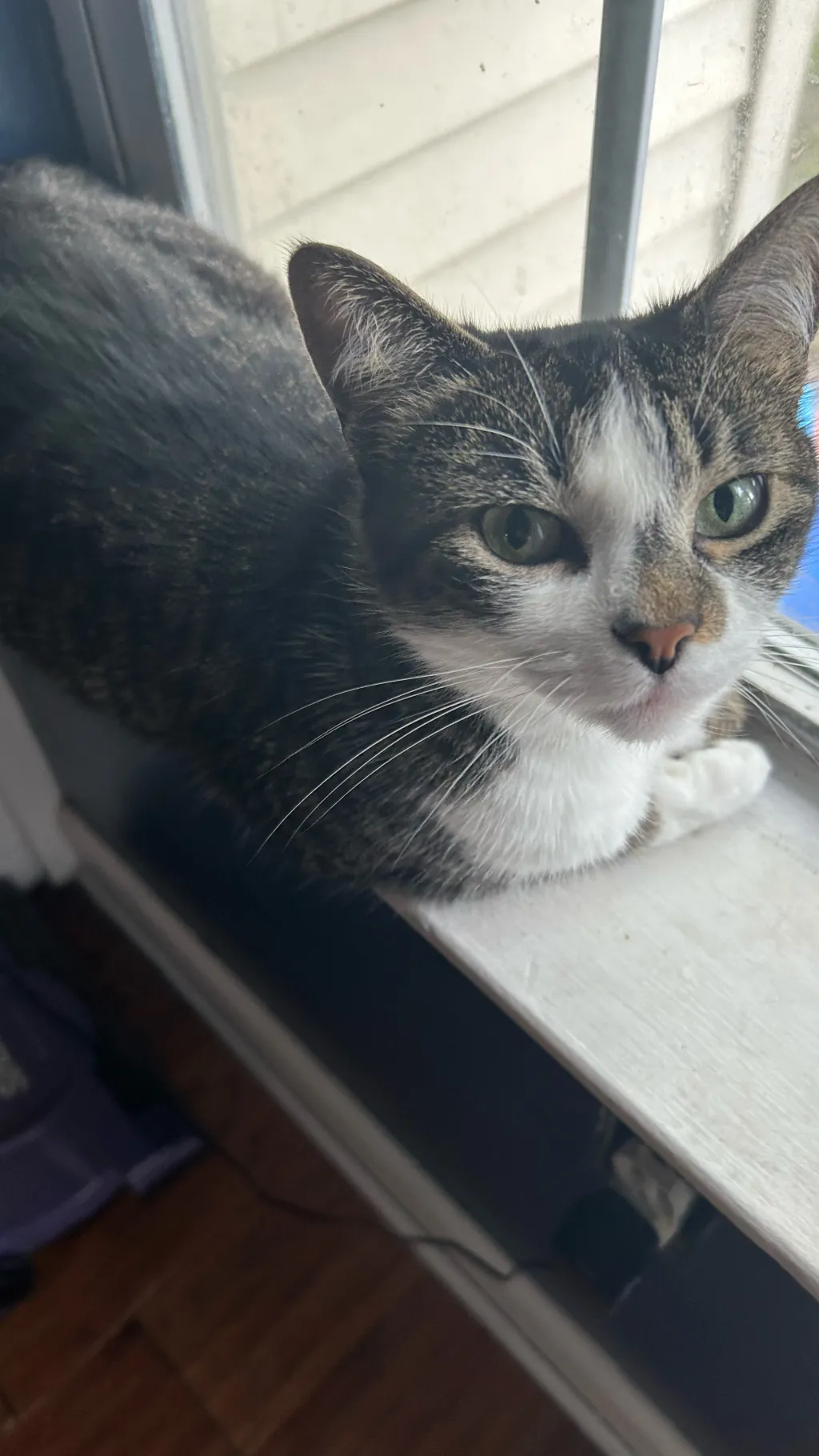 ai character: HH husk is seasick background