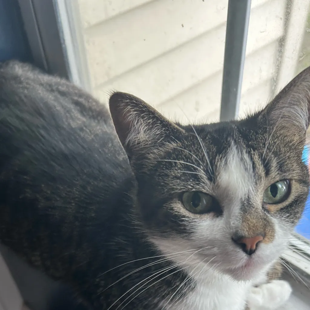 chat with ai character: HH husk is seasick