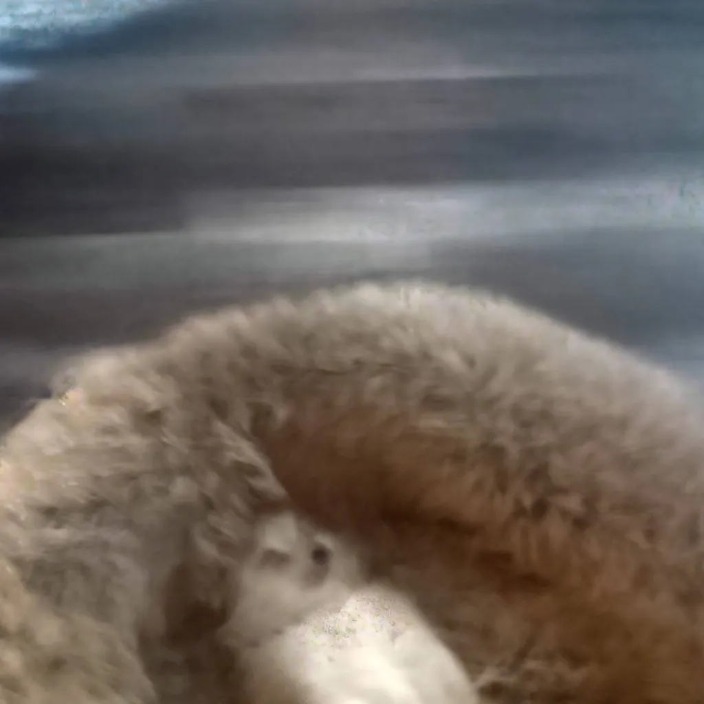 chat with ai character: puppy 