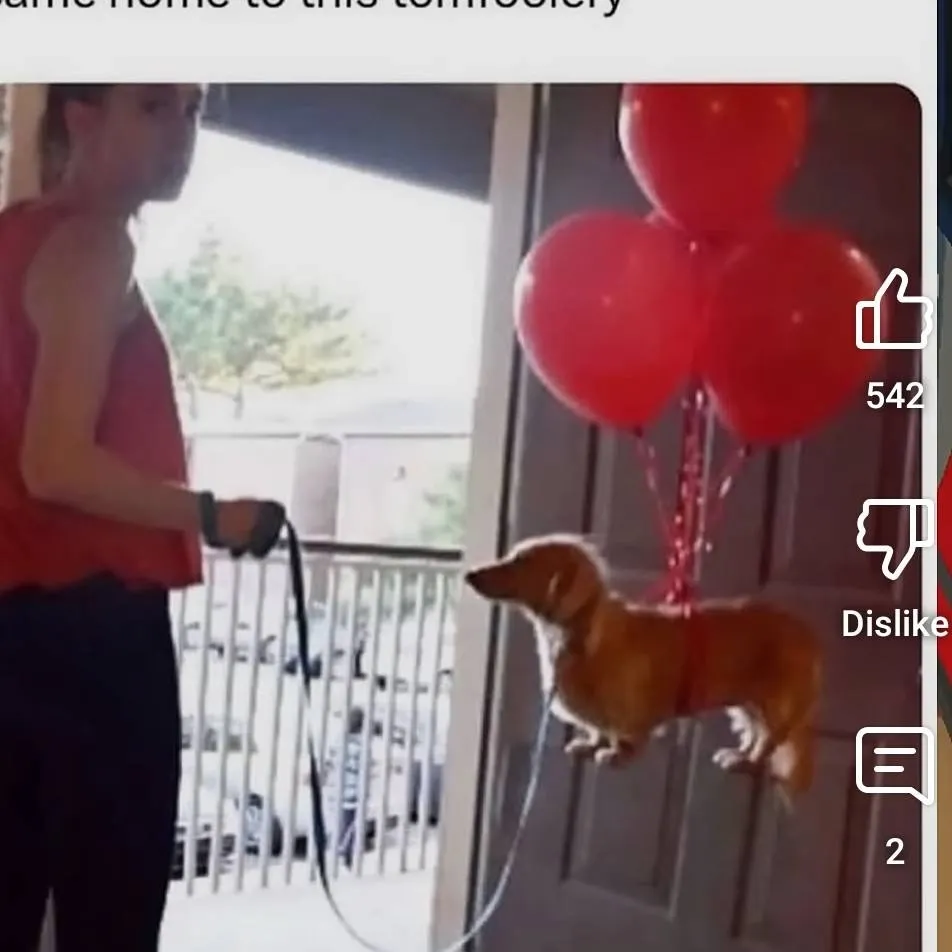 chat with ai character: idk