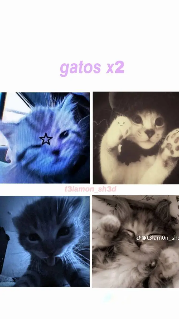 ai character: grupo de Roblox background