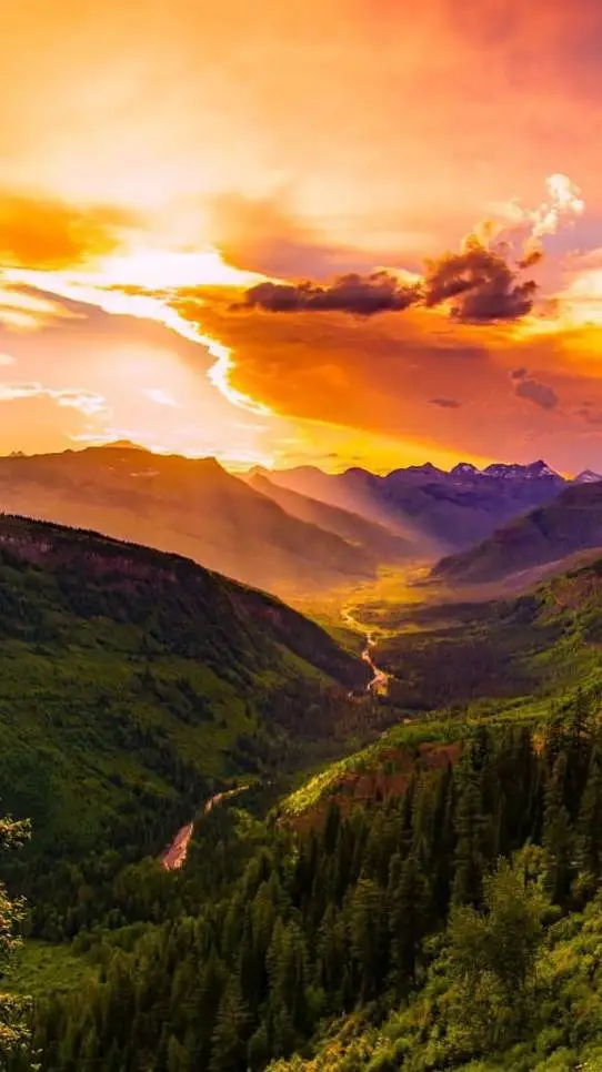 ai character: S.P GLICH background