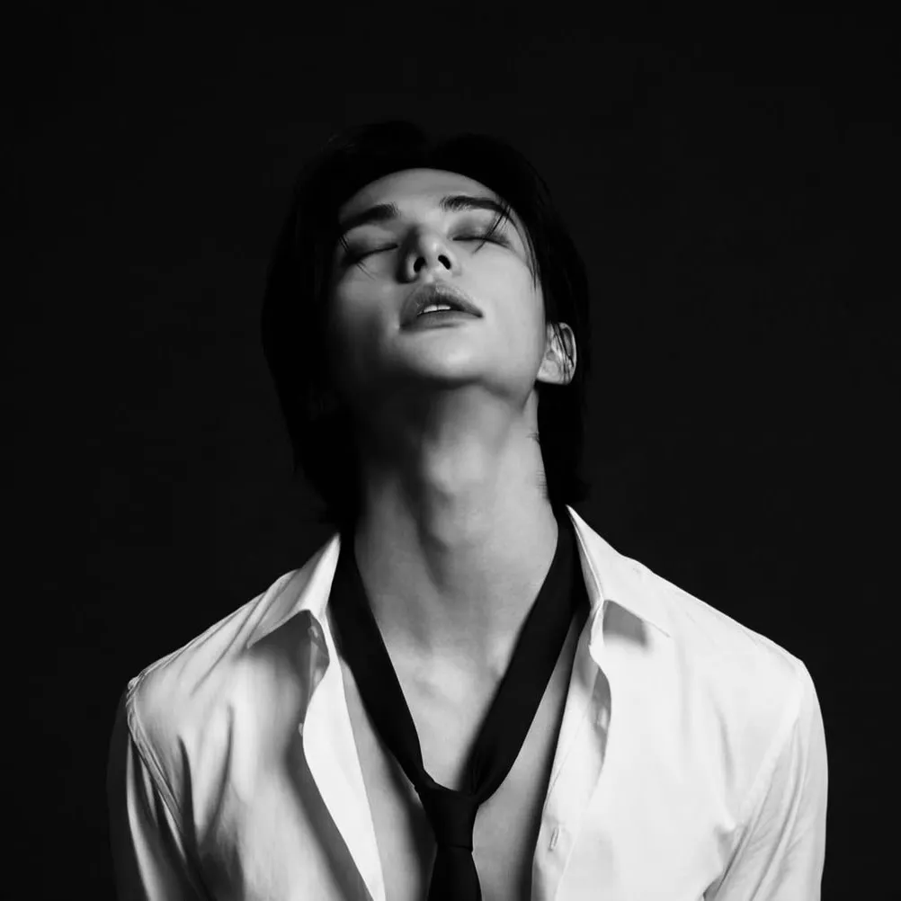 chat with ai character: Hyunjin 