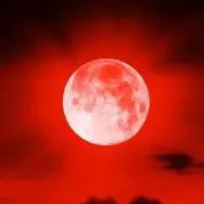 chat with ai character: NIGHTMARE LORE