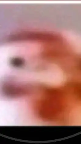 ai character: chickenboi background