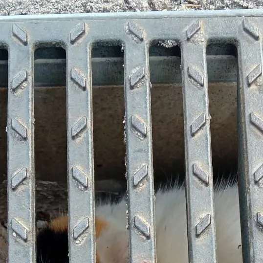 chat with ai character: Buba Corelli