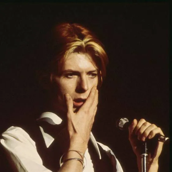 chat with ai character: David Bowie