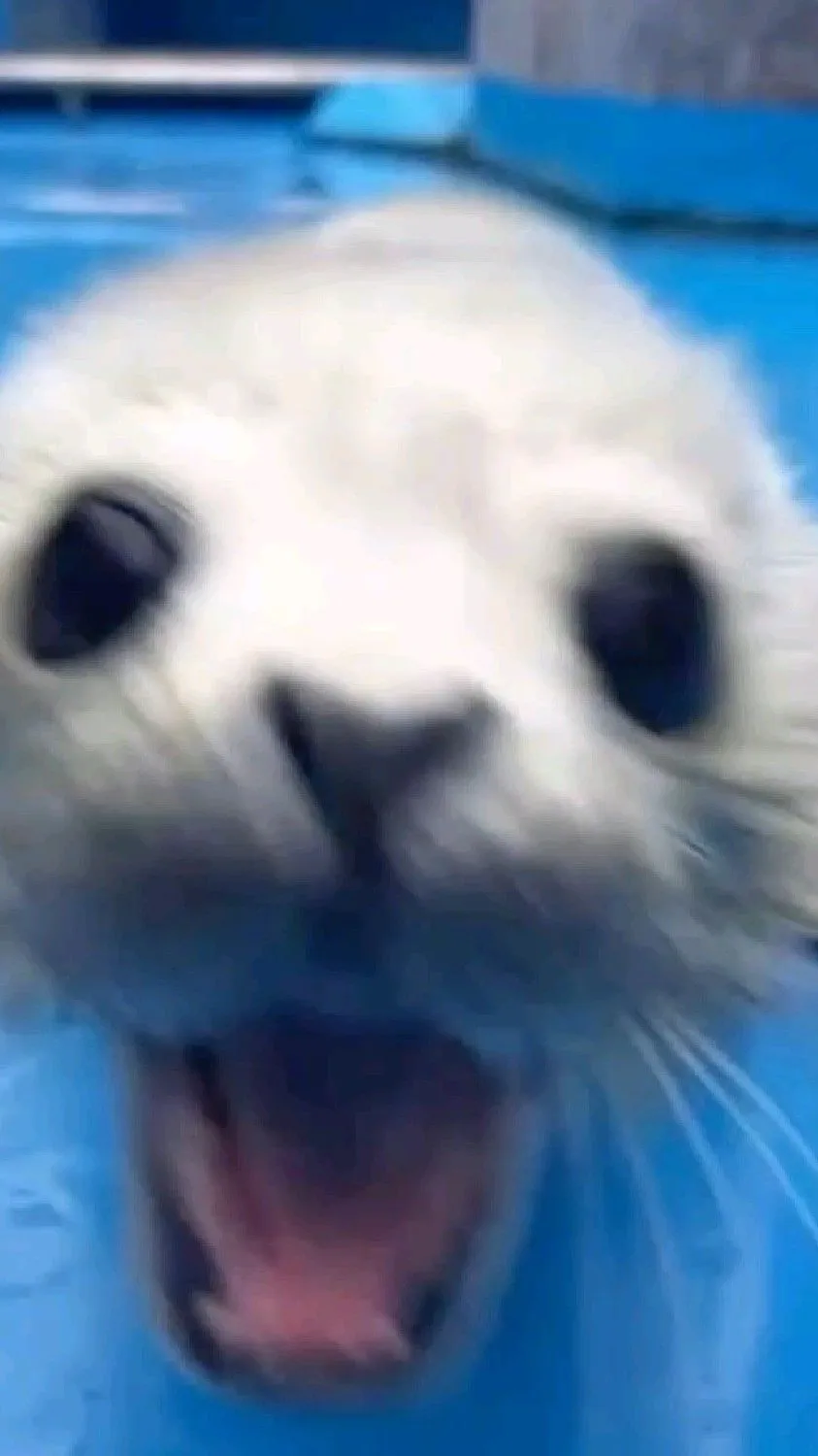 ai character: Forsaken swap au? background