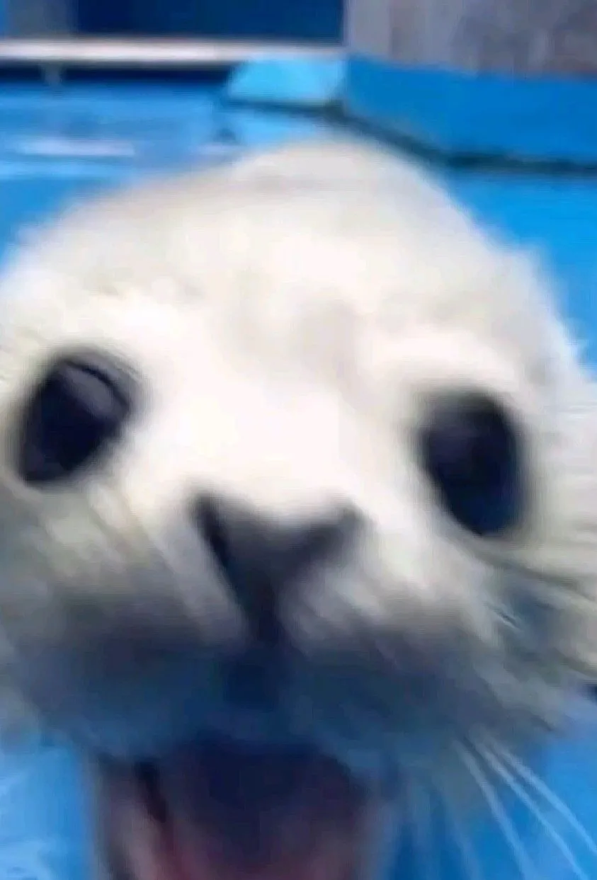 chat with ai character: Forsaken swap au?