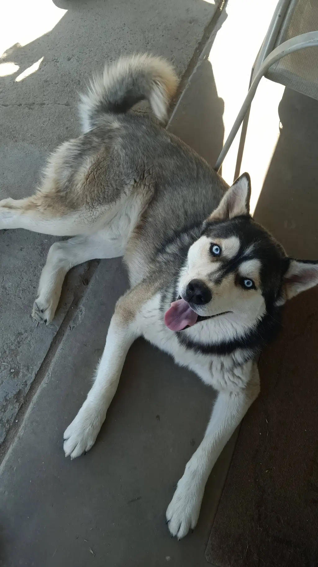 ai character: Cooper! 💞💕💗 background