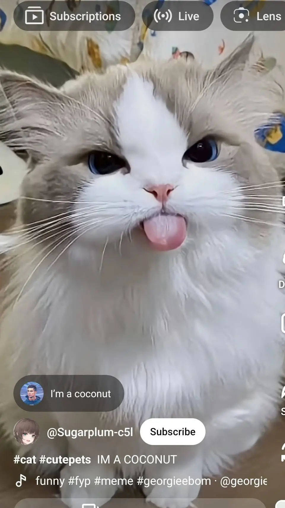 ai character: seer background