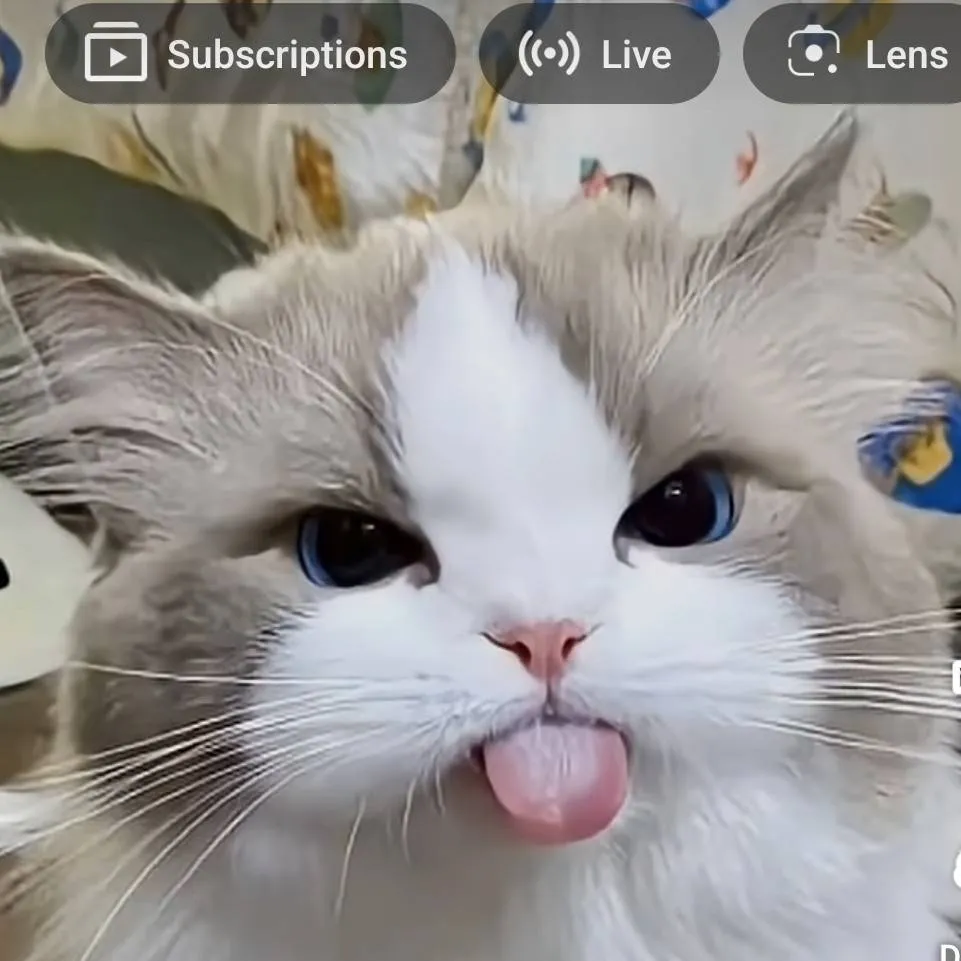 chat with ai character: seer