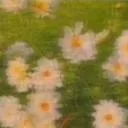 chat with ai character: boxing ring but dw