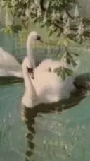 ai character: nature princess  background