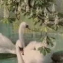 chat with ai character: nature princess 