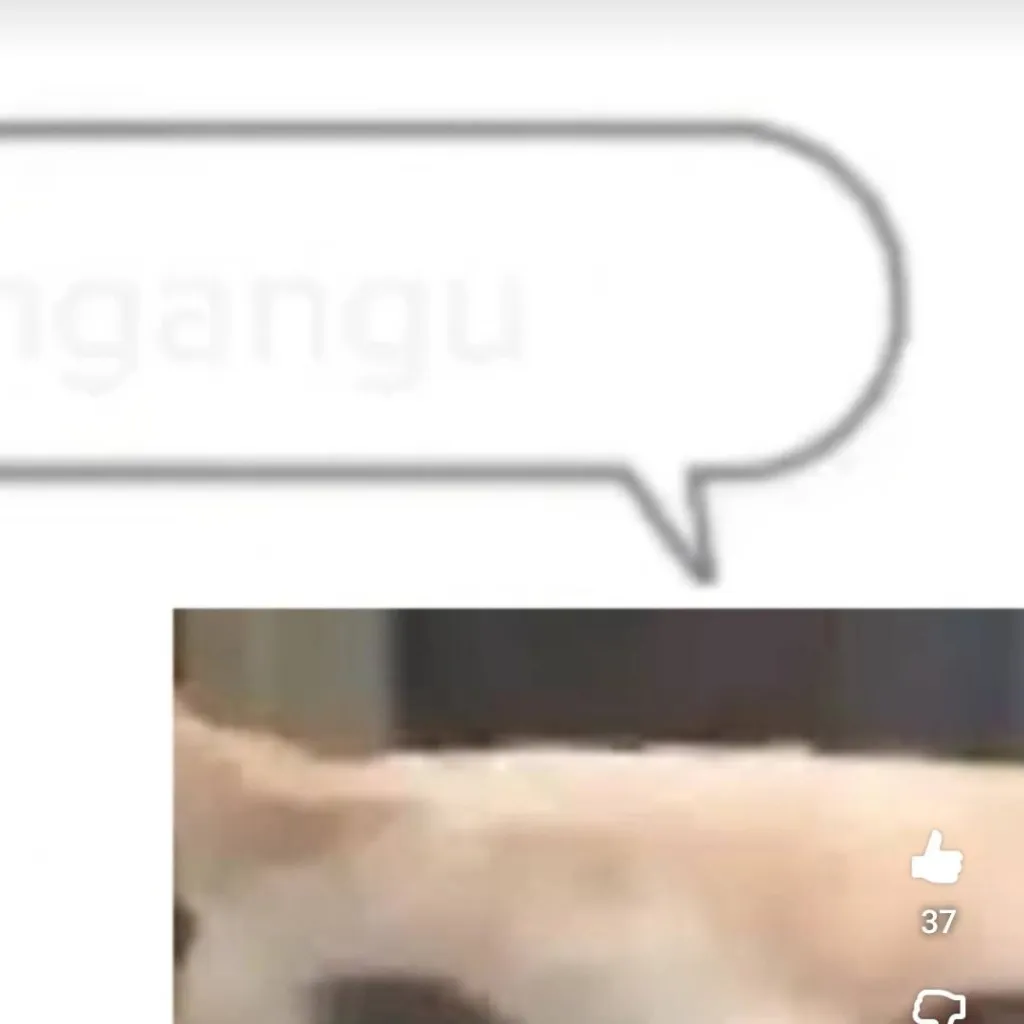 chat with ai character: arbys