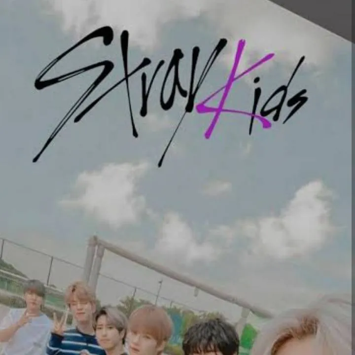 chat with ai character: skz and pick me