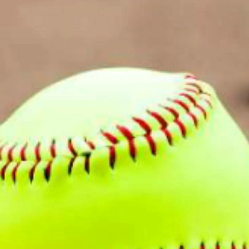 chat with ai character: Softball team