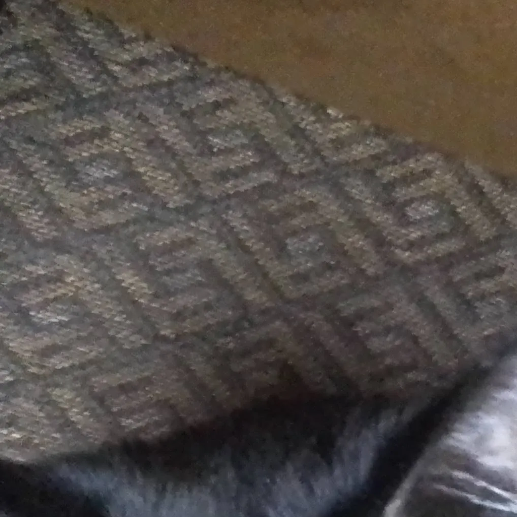 chat with ai character: cookie my cat