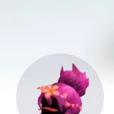 chat with ai character: Blox fruits😛