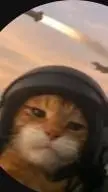 ai character: gatito guerrero background