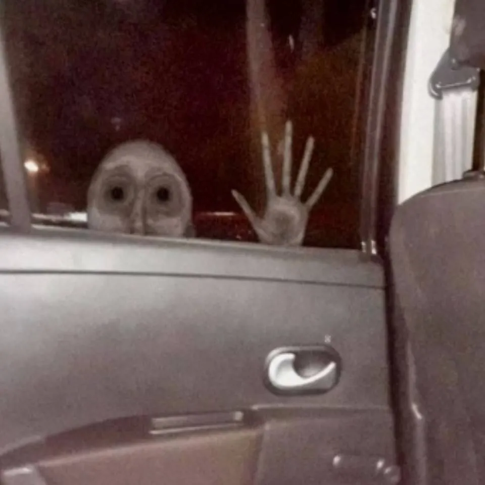 chat with ai character: idk