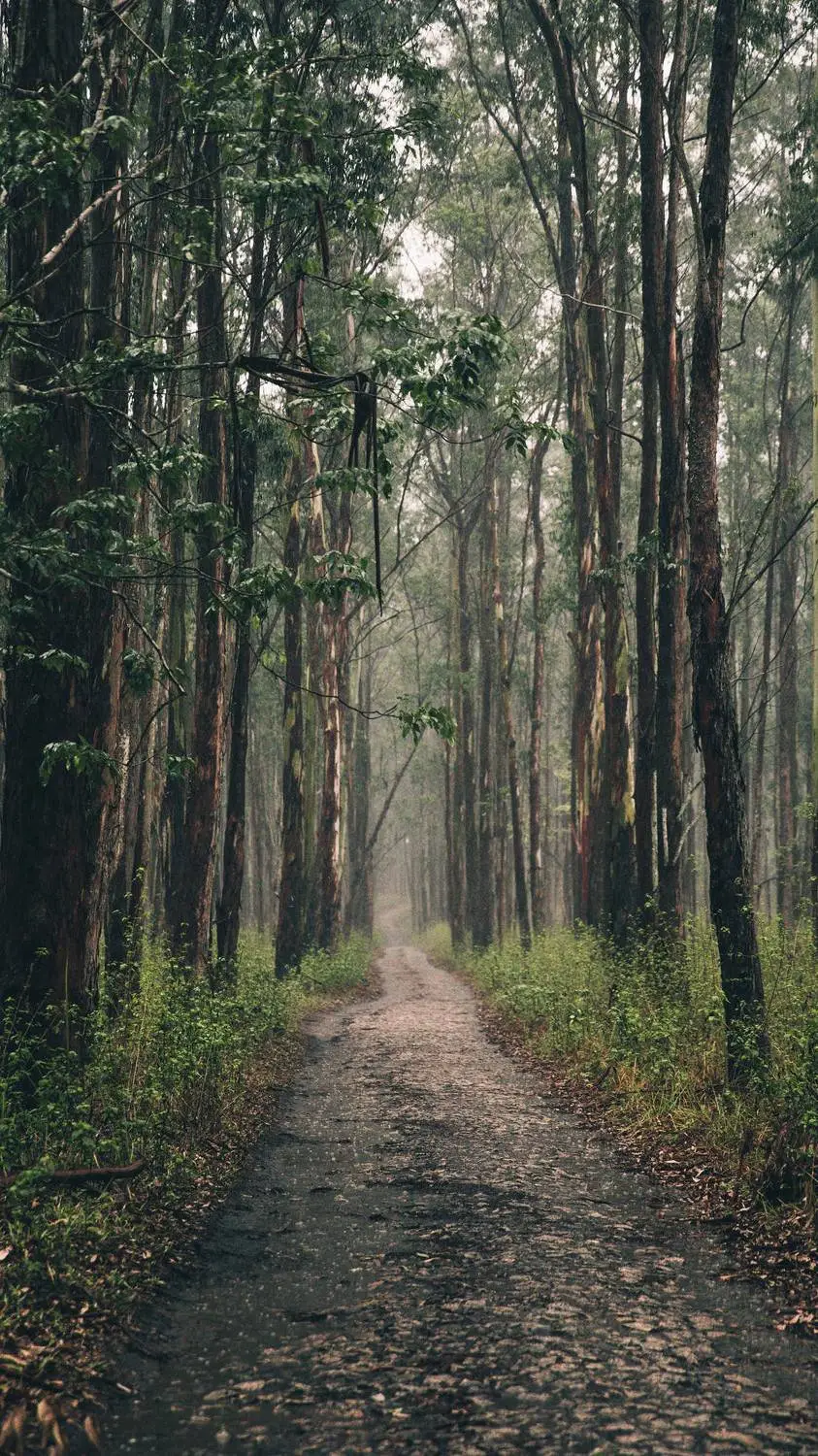 ai character: anime rp background