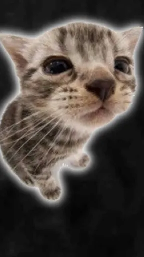 ai character: Cat background