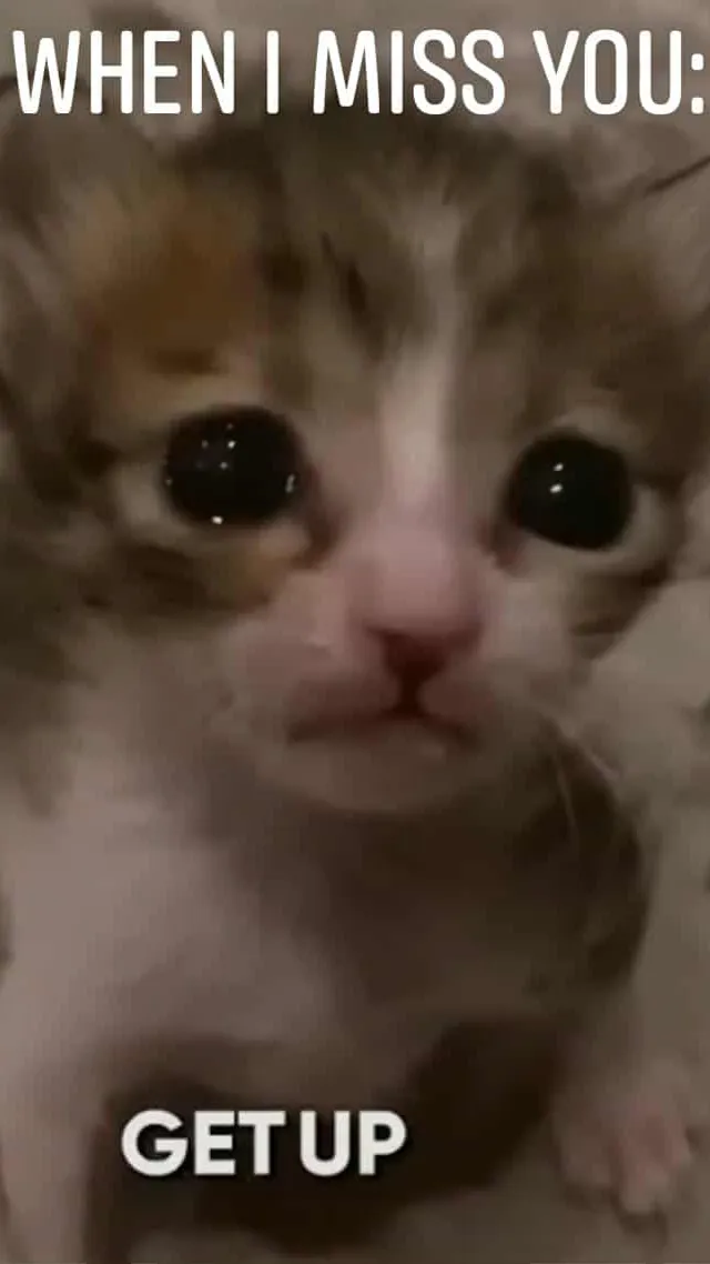 ai character: Sad cat  background
