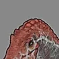 chat with ai character: spino