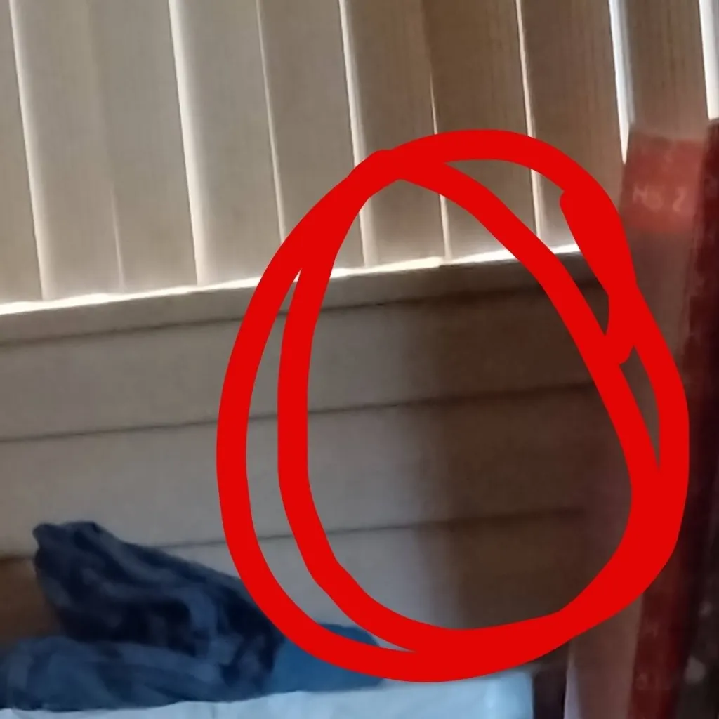 chat with ai character: classroom 2!