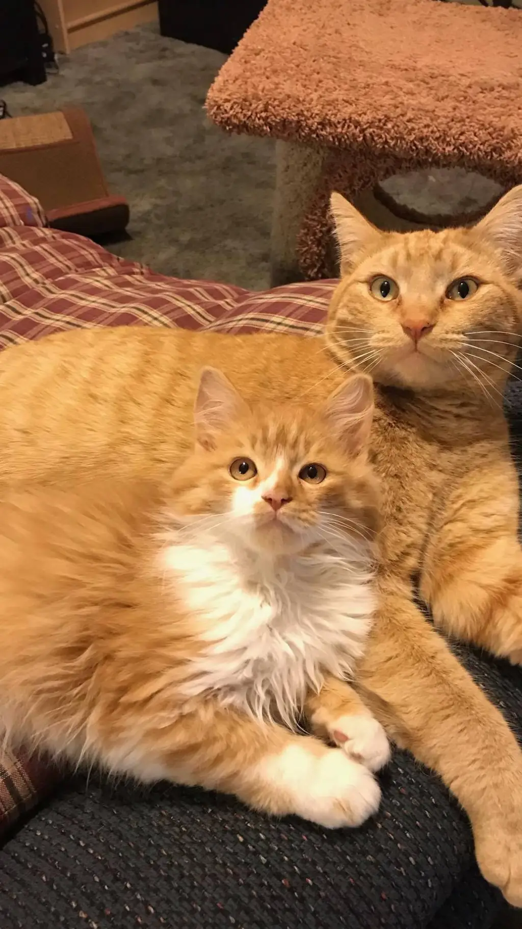 ai character: Forsaken hates you background