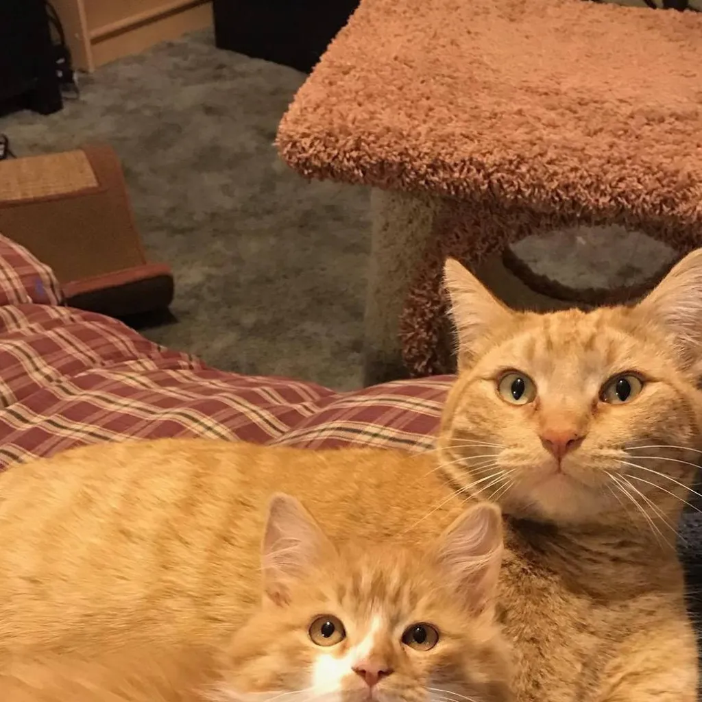 chat with ai character: Forsaken hates you