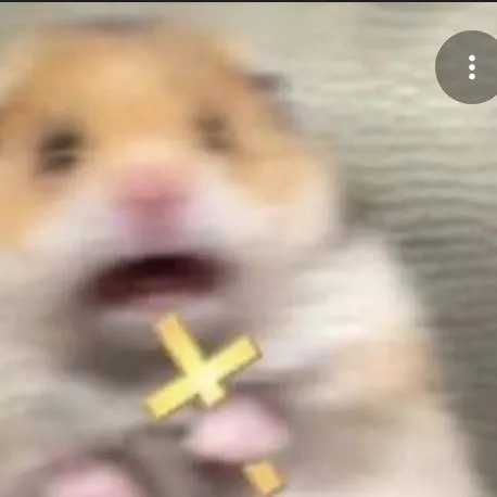 chat with ai character: Astro