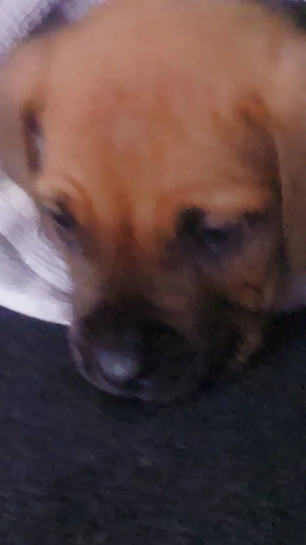 ai character: todoroki x you background