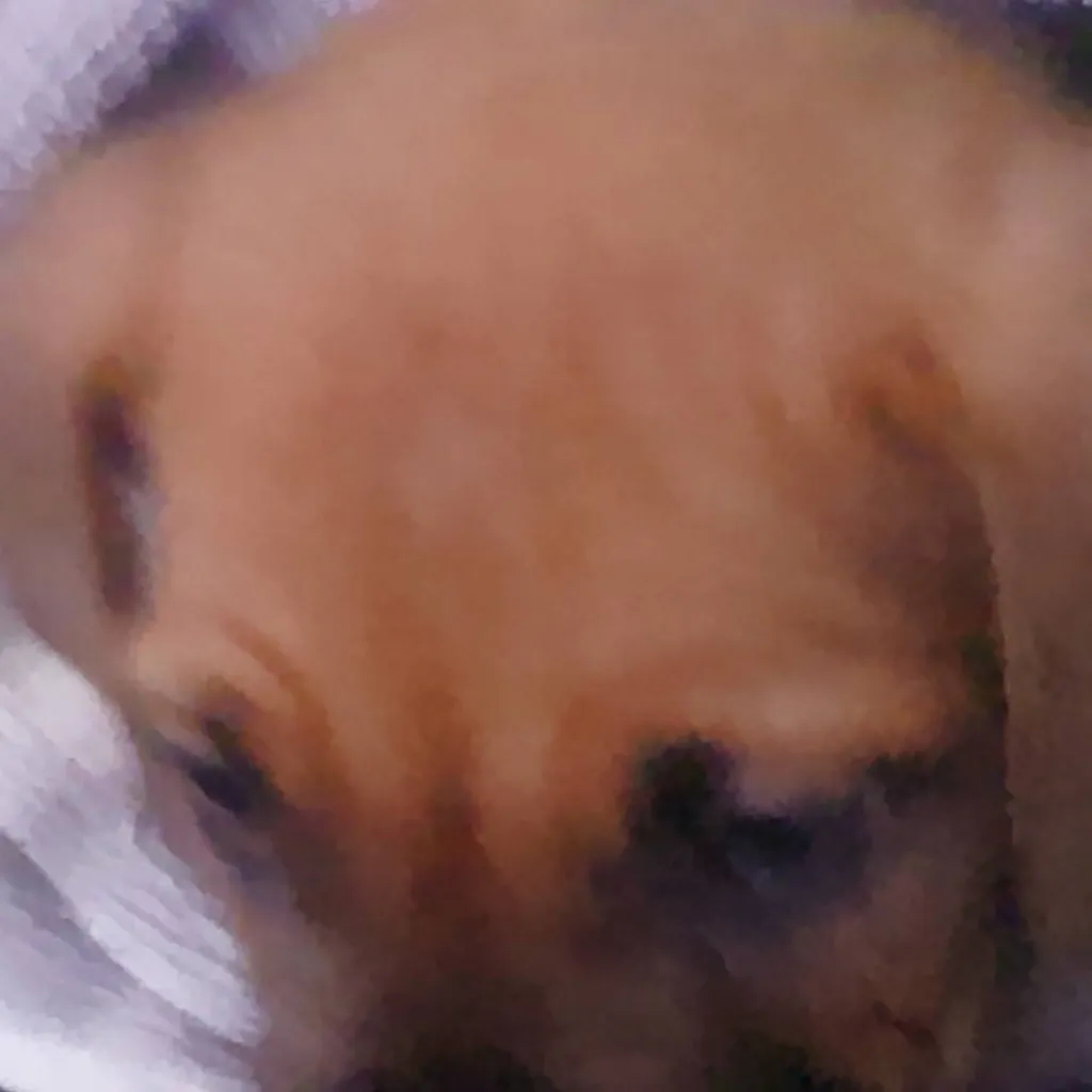 chat with ai character: todoroki x you