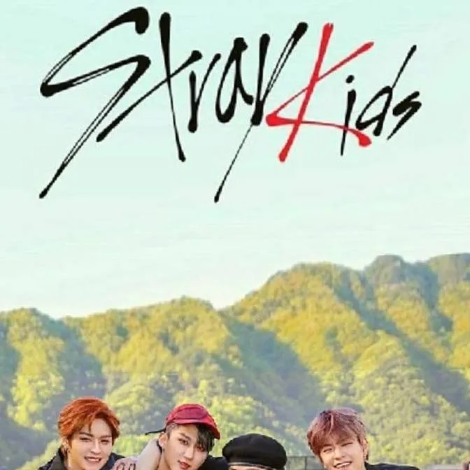 chat with ai character: SKZ/CONCERT