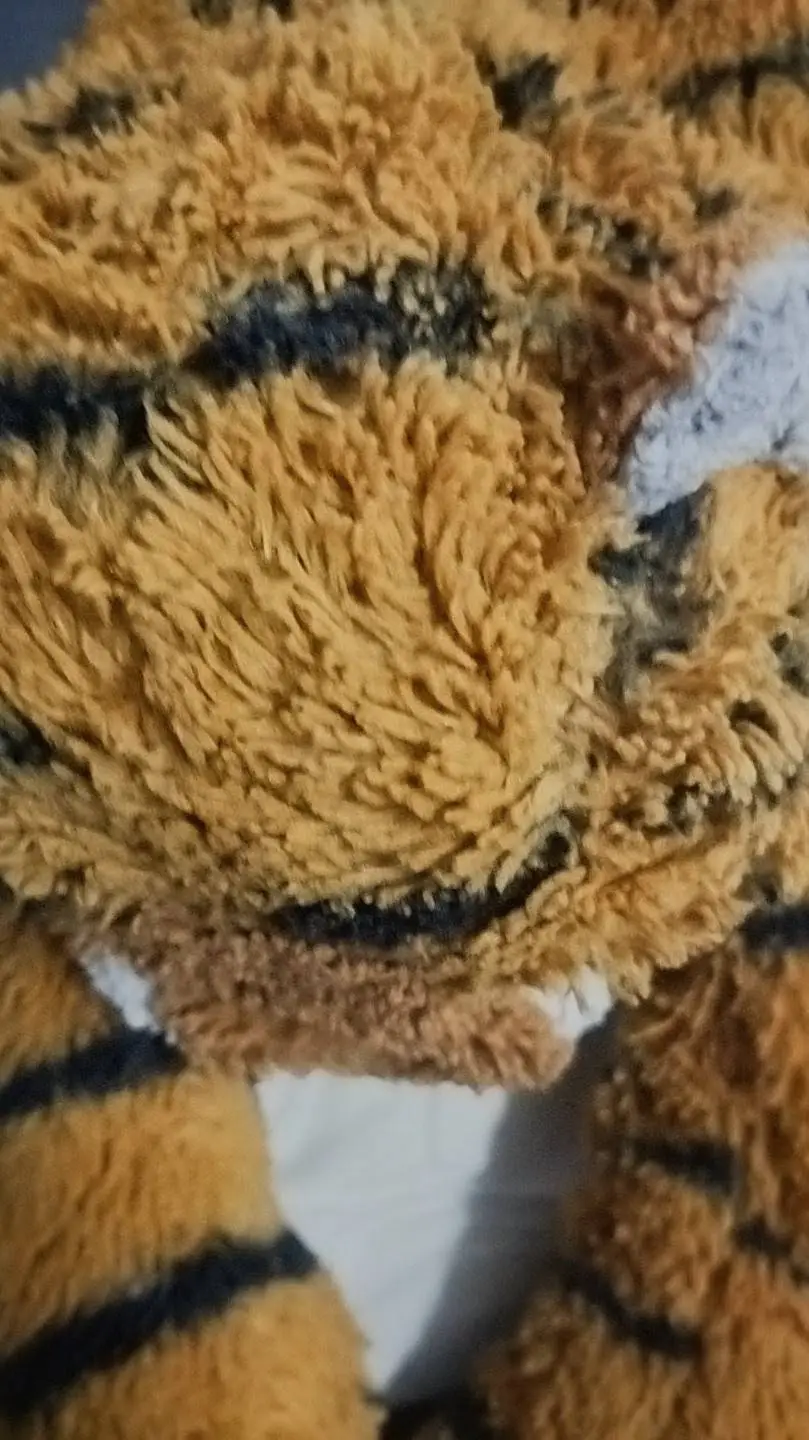 ai character: tiger plushie 🐱 background