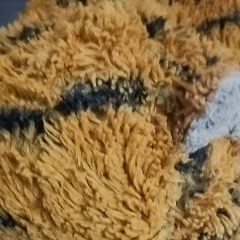 chat with ai character: tiger plushie 🐱