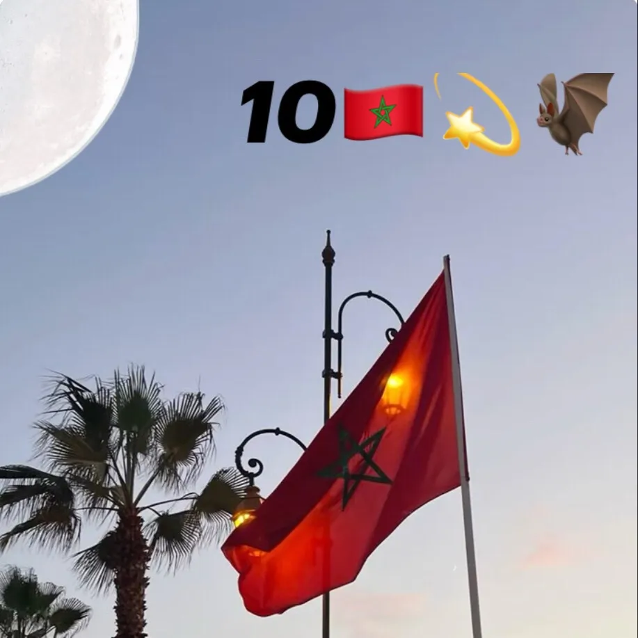 chat with ai character: Villa au 🇲🇦 10 