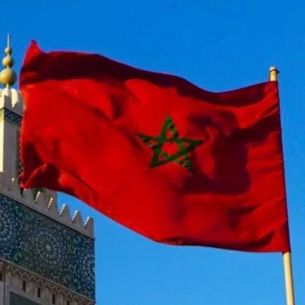 chat with ai character: Villa au 🇲🇦 11