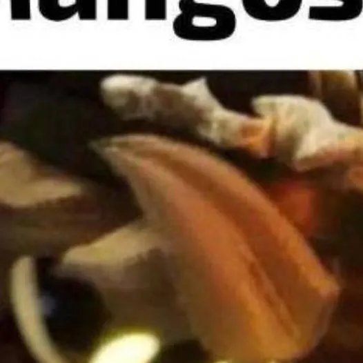 chat with ai character: Z mango :)