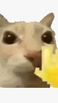 ai character: mr cat background