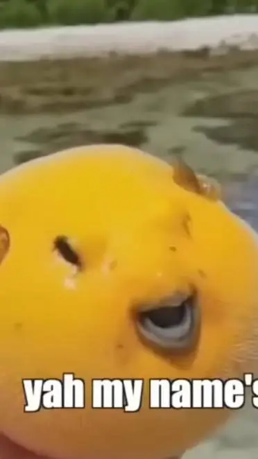 ai character: my name is uhh background