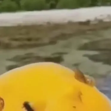 chat with ai character: my name is uhh