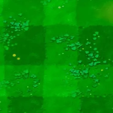 chat with ai character: HARD DAY🏴‍☠️