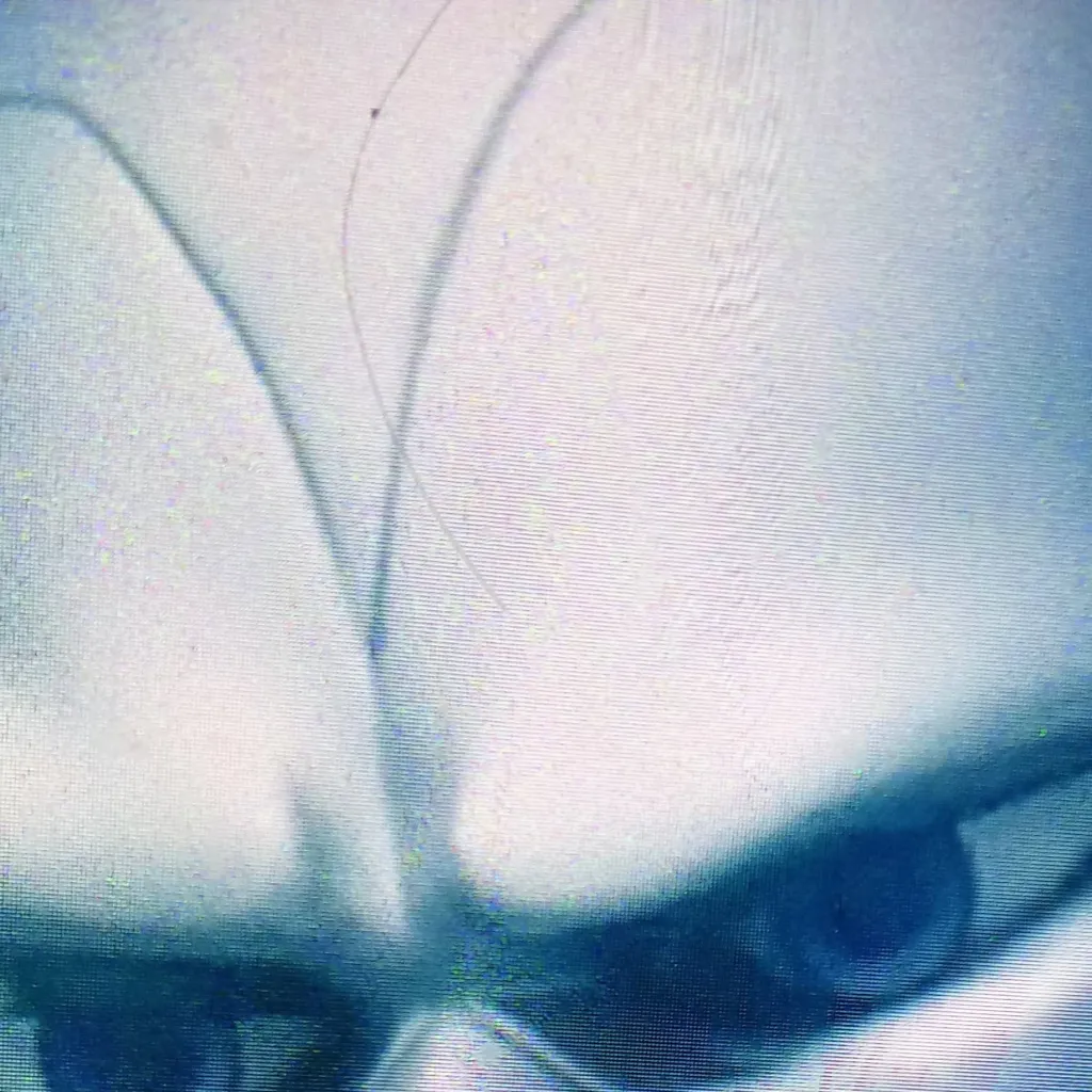 chat with ai character: Hawk moth 