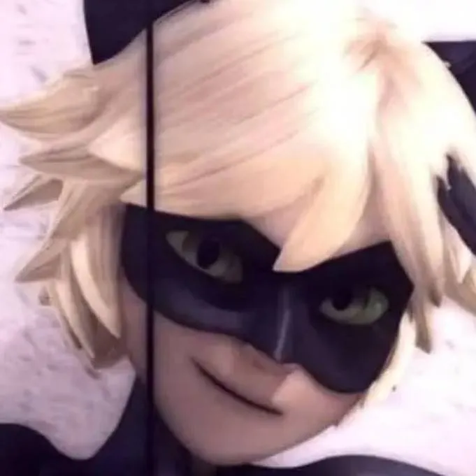 chat with ai character: Cat noir